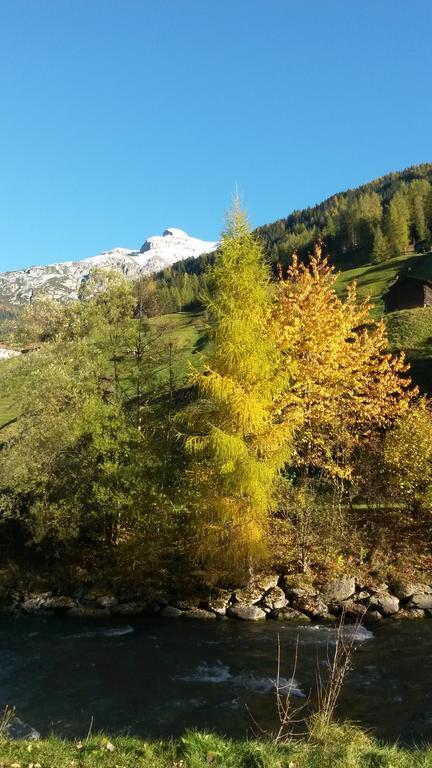 Haus Harbauer Apartment Neustift im Stubaital Luaran gambar